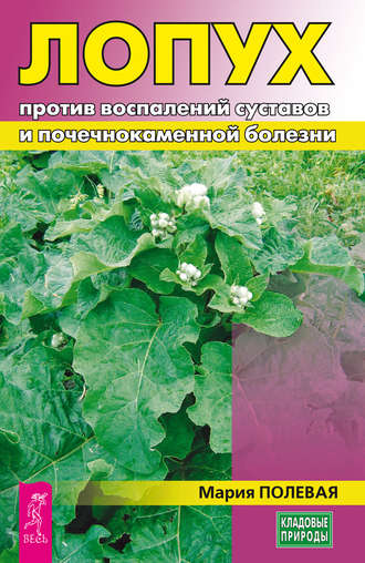 Мария Полевая, Лопух против воспалений суставов и почечнокаменной болезни